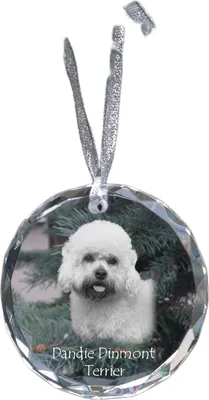 Obrázek produktu pro Dandie dinmont teriér - křišťálová ozdoba s fotografií, fotografie psa v křišťálu, personalizovaná vánoční ozdoba značky Art-Dog