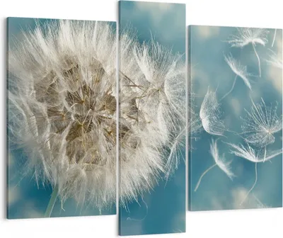 Produktbild von Bild auf Leinwand - Leinwandbild - Baby Sommer Pflanze - 95x80cm - Wand Bild - Wanddeko - Wandbilder - Leinwanddruck - Bilder - Kunstdruck - Wanddekoration - Leinwand bilder - Wandkunst - CB95x80-3567