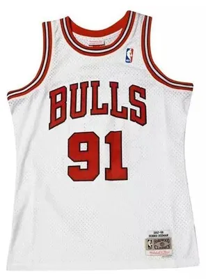 Image de Maillot NBA Dennis Rodman Chicago Bulls 1995-96 Mitchell & ness Hardwood Classic