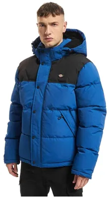 Image de Manteau Dickies DICKIES Vista al glaciar - Abrigo pour Homme