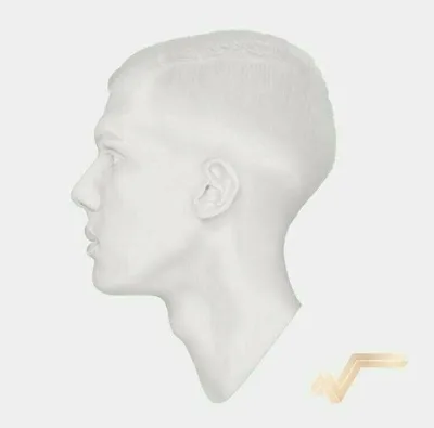 Obrázek produktu pro Stromae - Racine Carrée (10th Anniversary) (Reissue) (2 LP)