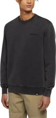 Zdjęcie produktu dla DICKIES - Męska bluza zimowa Plentywood - Rozmiar L