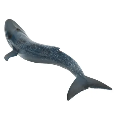 Produktbild von Fischmodell,Tiermodell Spielzeug,Tiermodell,Tiermodell Dekoration,Kinderspielzeug