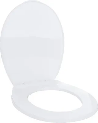 A white toilet seat is shown with the lid open.