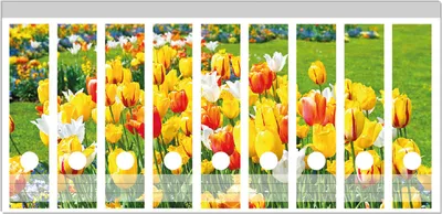 Produktbild von Wallario Ordnerrücken Sticker, selbstklebend für breite Ordner, 9 Stück, Motiv Tulpenwiese unter blauem Himmel