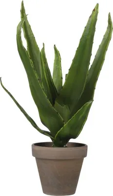 Produktbild von Mica Kunstpflanze Aloe Vera im Topf grün, 30 x 16 cm