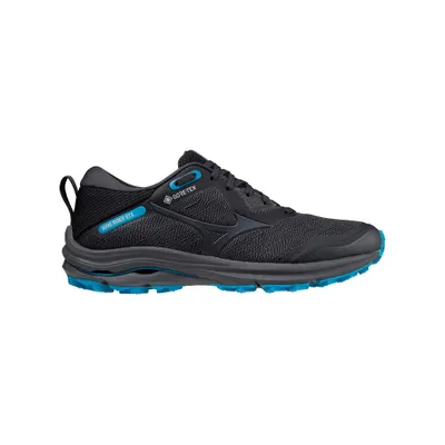Produktbild von Mizuno Schuhe Wave Rider Gtx, J1GD217913