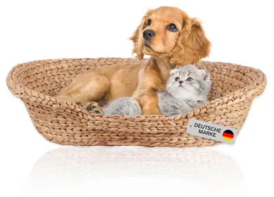 Immagine prodotto di Cuccia per gatti, cuccia per cani di piccola taglia, realizzata in fibra di ippomane, taglia 2