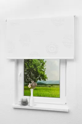 Produktbild von Lysel Outlet - Verdunkelungsrollo Kreismuster Weiß, (B x H) 182.50cm x 190cm in weiß/weiß