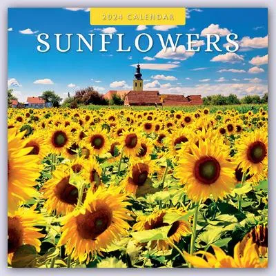 Produktbild von Sunflowers - Sonnenblumen 2024 - 16-Monatskalender