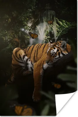 Produktbild von MuchoWow® Poster Tiger - Dschungel - Schmetterling 120x180 cm - Kunstposter