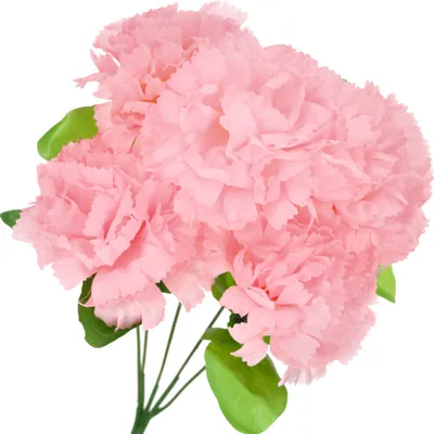 Produktbild von Dekolo Künstliche Blumen Dekorationen Deko Pflanzen Blumensträuße Nelken Pink 30cm