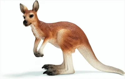 Produktbild von Schleich 14607, Braun