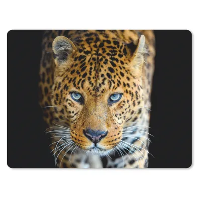 Produktbild von MuchoWow® Mauspad Mousepad Leopard - Tiere - Porträt - Wildtiere - Schwarz 40x30 cm - Mousepads - Maus Mat - Pad - Mausunterlage - Anti Rutsch