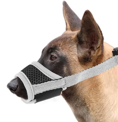 Image de Panier de transport pour chiens, réglable, respirant, en nylon, de couleur grise, taille S