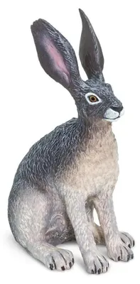 Produktbild von Safari Ltd Amerikanische Wüstenhasenfigur Grau From 3 Years Kinder Grau From 3 Years