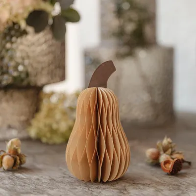 Produktbild von Kürbis hoch aus Papier - hellbraun