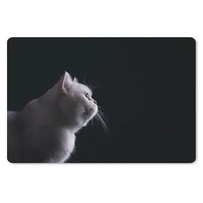 Produktbild von MuchoWow® Mauspad Mousepad Nahaufnahme einer weißen Katze 27x18 cm - Mousepads - Maus Mat - Pad - Mausunterlage - Büroartikel - Desk Matten