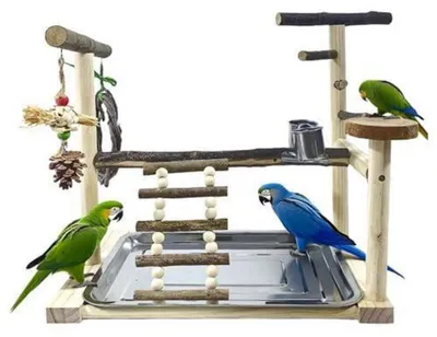 Image de Aire de jeux pour oiseaux avec balançoire, échelle et mangeoire, en bois naturel, dimensions : 40 x 27 x 34 cm