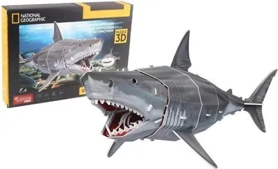 Produktbild von 3D-Puzzle – Weißer Hai – Konstruktionsspiel – EXPLORA – 72 Teile – Ab 8 Jahren