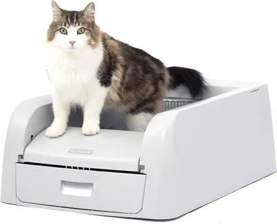 Produktbild von Famanu Selbstreinigende Katzenbox mit klumpendem Streu - Effektive Geruchskontrolle für mehrere Katzen