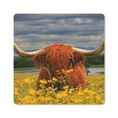 Produktbild von MuchoWow® Mauspad Mousepad Schottischer Highlander - Tiere - Blumen 20x20 cm - Mousepads - Maus Mat - Pad - Mausunterlage - Desk Mat - Bureauartikeln