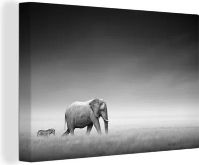 Produktbild von OneMillionCanvasses® - Leinwandbilder - 140x90 cm, Elefant - Tiere - Landschaft - Schwarz und weiß - Zebra, Wandbilder Kunstdruck Wanddekoration - Foto auf Leinwand - Gemälde auf