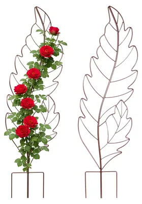Immagine prodotto di Grate per rampicanti Relaxdays, set da 2, A x L: 100 x 30 cm, a foglia, metallo, supporto per piante rampicanti, giardino e piante in vaso, marrone