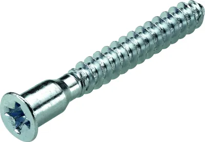 Produktbild von Hettich Verbindungsschraube / Schraube Direkta 2 (6,3 mm, Länge 50mm) 16 Stk.