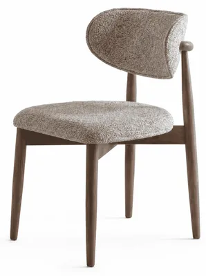 Immagine prodotto di Sedia da pranzo imbottita, sedia di design, sedia elegante, sedia moderna