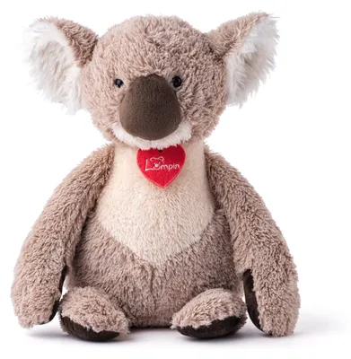Image de Koala Dubbo