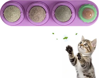 Produktbild von Katzenminze Ball  Katzenminze-Bälle Zur Zahnpflege bei Katzen und Mundgeruchlila