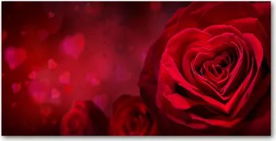Produktbild von Tulup® Glas-Bild - 100x50 -Wandkunst - Wandbild hinter gehärtetem Sicherheitsglas  - Blumen & Pflanzen - Rotes Rosenherz - Rot