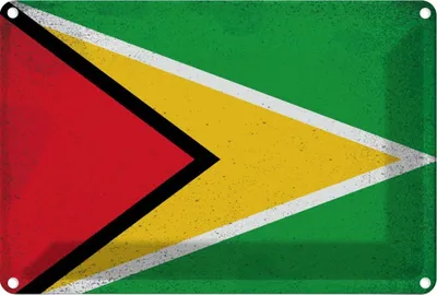 Produktbild von vianmo Blechschild 20x30 cm Guyana Vintage Flagge Fahne Wappen