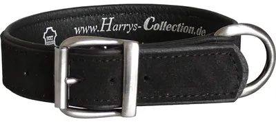 Produktbild von Hundehalsband aus feinstem Leder in vielen Farben von 28-48 cm