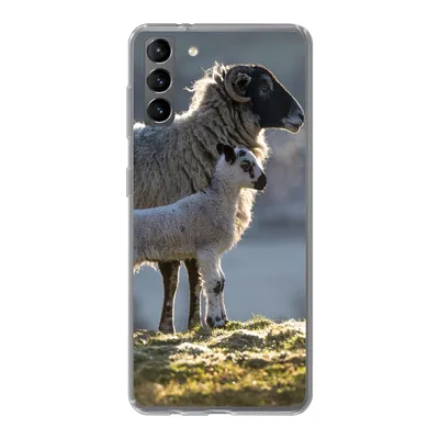 Produktbild von MuchoWow® Handyhülle Schutzhülle Hülle für Samsung Galaxy S21 Plus Schaf - Lamm - Sonne Silikon Softcase Handy Hülle - Handy-Tasche