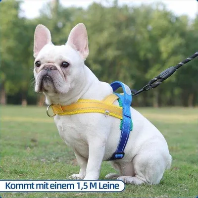 Produktbild von Famanu Hundegeschirr für kleine bis mittelgroße Hunde - Verstellbar und reflektierend - S