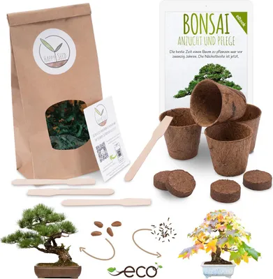 Produktbild von Bonsai Starter Kit Anzuchtset inkl. GRATIS eBook - Pflanzset aus Kokostöpfen, Samen & Erde (Mittelmeer Pinie + Amerikanischer Amberbaum)
