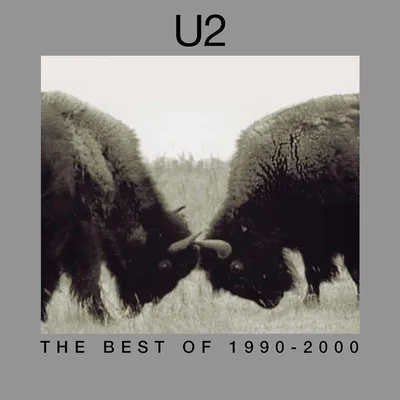 Immagine prodotto di U2 - Il meglio del 1990-2000 in vinile