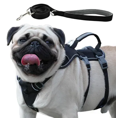 Produktbild von Hundegeschirr mit Leine, Ausbruchsicher, Anti-Zug, Reflektierend, Verstellbar, Schwarz, Größe S