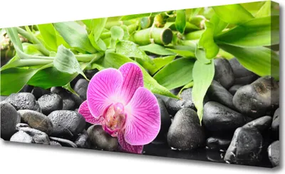 Produktbild von Tulup Leinwand-Bilder 125x50 Wandbild Canvas Kunstdruck Blume Blätter Steine Kunst