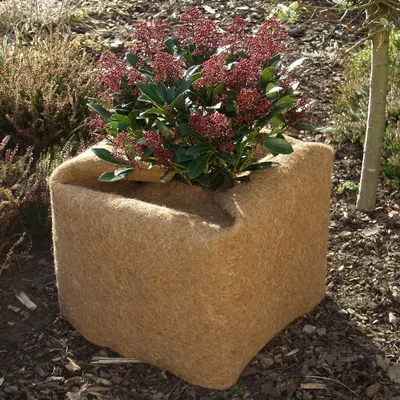 Produktbild von Noor Kokosmatte Kokosvlies Kokos Winterschutz 05x15 m; 150001