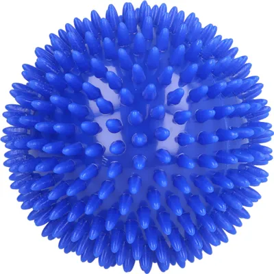 Produktbild von Massageigelball 10cm blau, 1 St