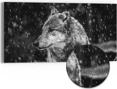 Produktbild von DEQORI Hybrid Leinwand Bild 60x30 cm 'Winterwächter' Wandbild Glas flach modern