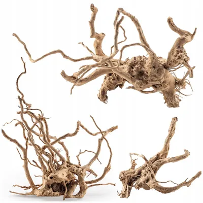 Zdjęcie produktu dla Dekoracja akwariowa – korzeń, Red Moor, 30 cm, naturalne drewno klasy premium