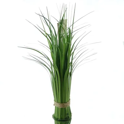 Produktbild von DPI California-Beach-Stehgras 44 cm - Kunstblumen