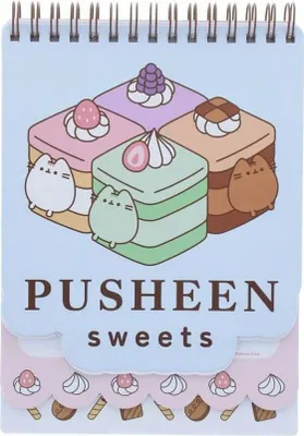 Image de Pusheen Notes mini
