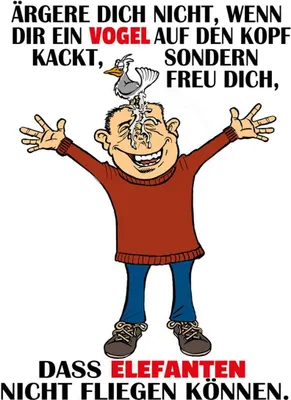 Produktbild von vianmo Holzschild 40x30 cm ärgere dich nicht wenn ein Vogel