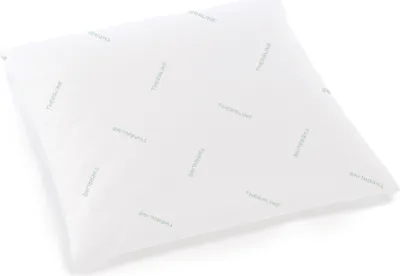Produktbild von Theraline Universalkissen Mikroperlen Größe: 38 x 38 cm, Farbe: weiß