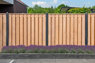 Productafbeelding van Tuinscherm Zwarte Woud 180 Tuindeco